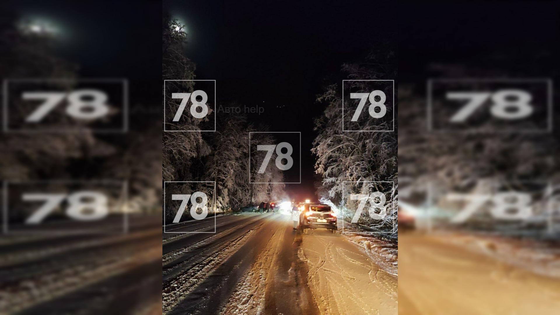 Фото: соцсети