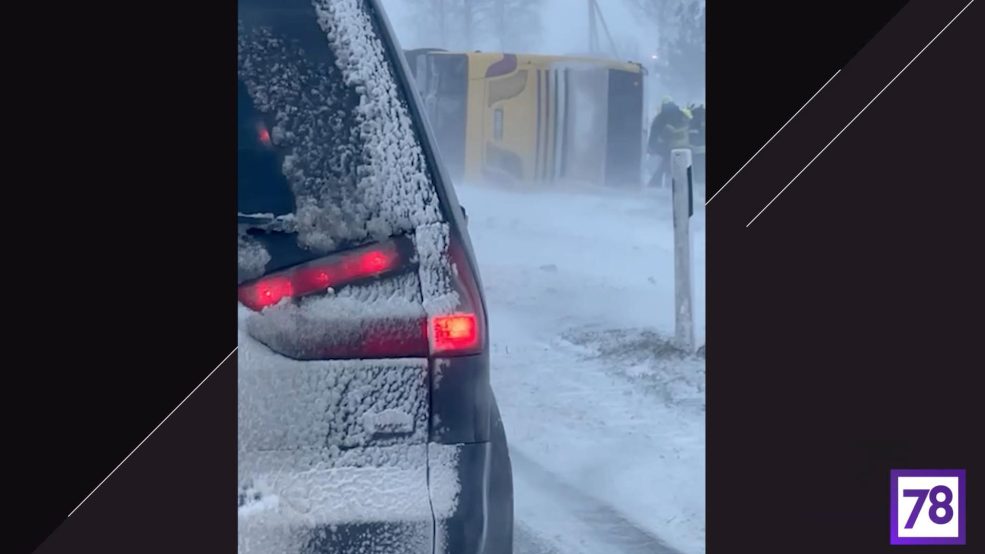 Фото: соцсети