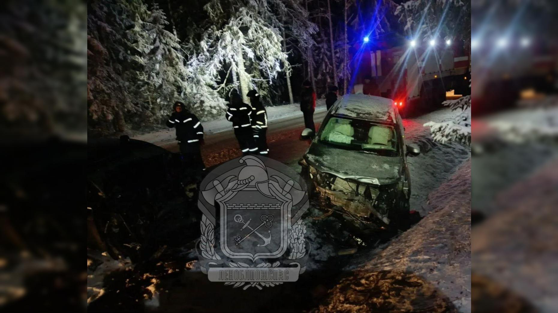 Фото: t.me/lenoblpozhspas