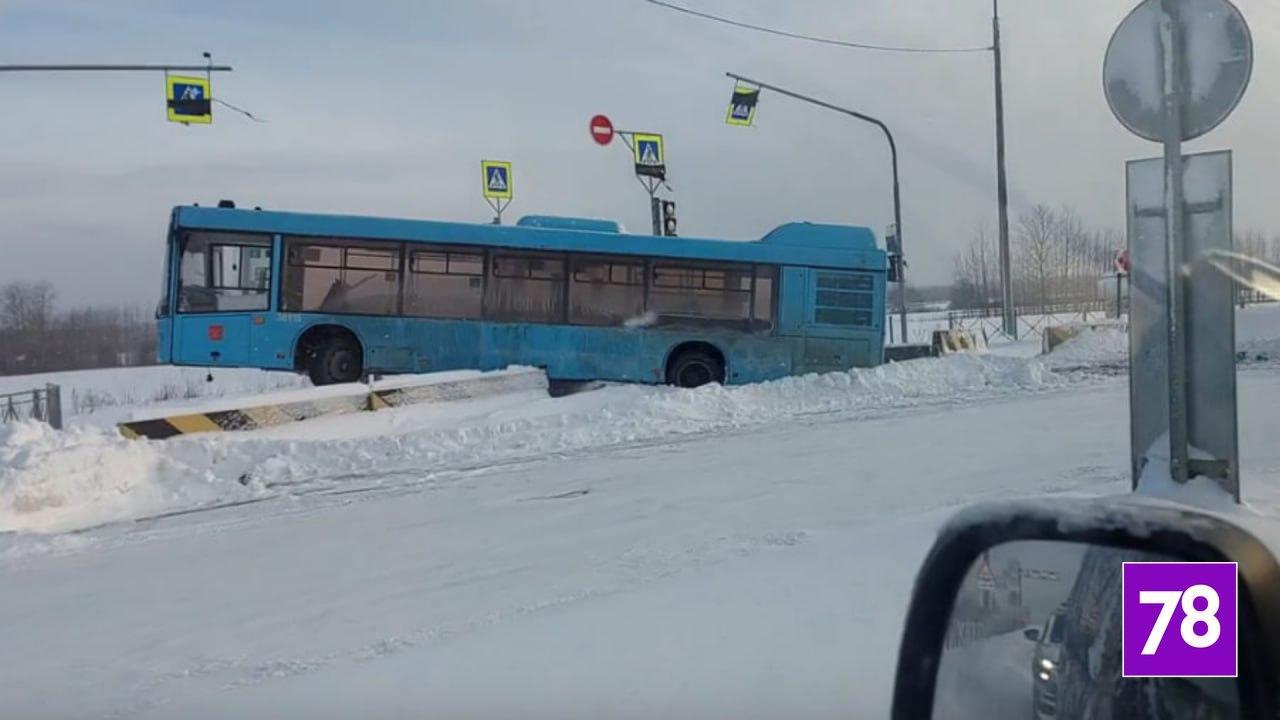 Фото: соцсети