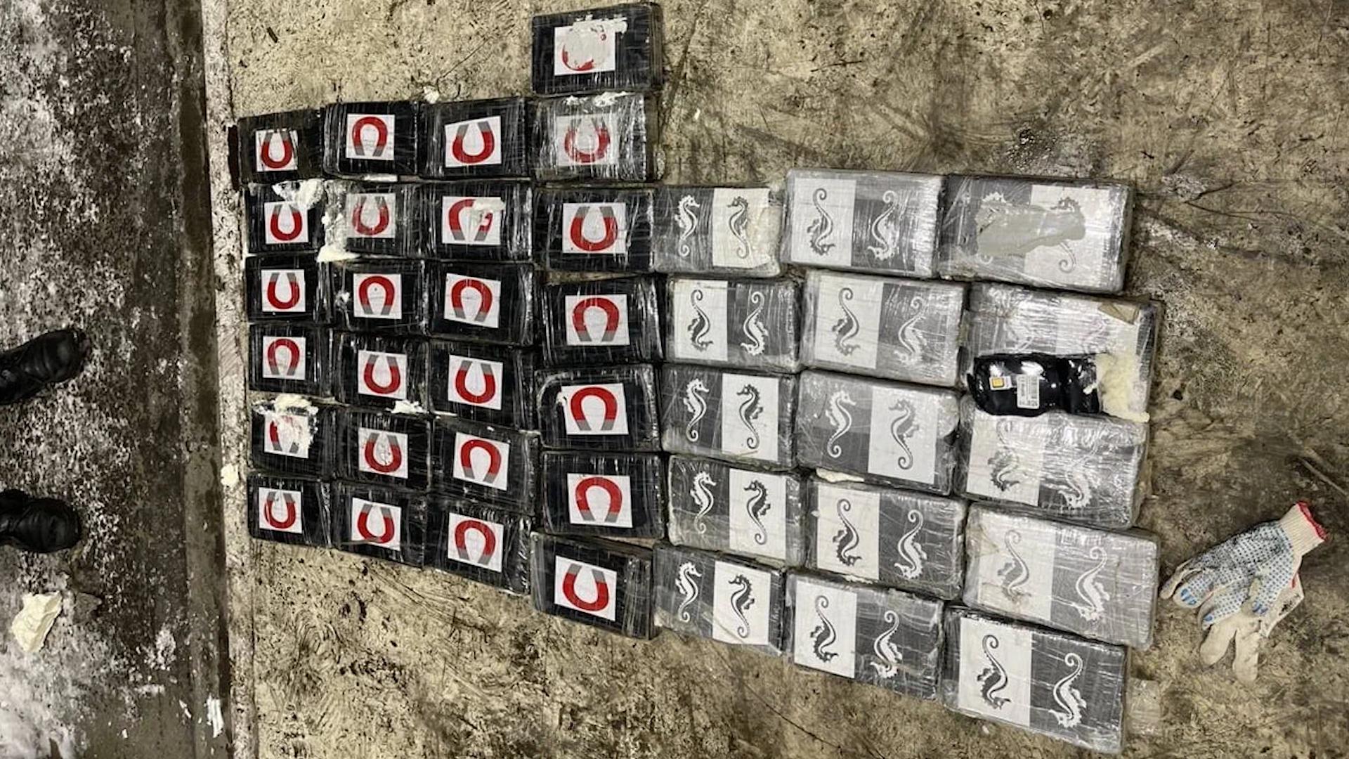 Фото: Пресс Служба ФТС