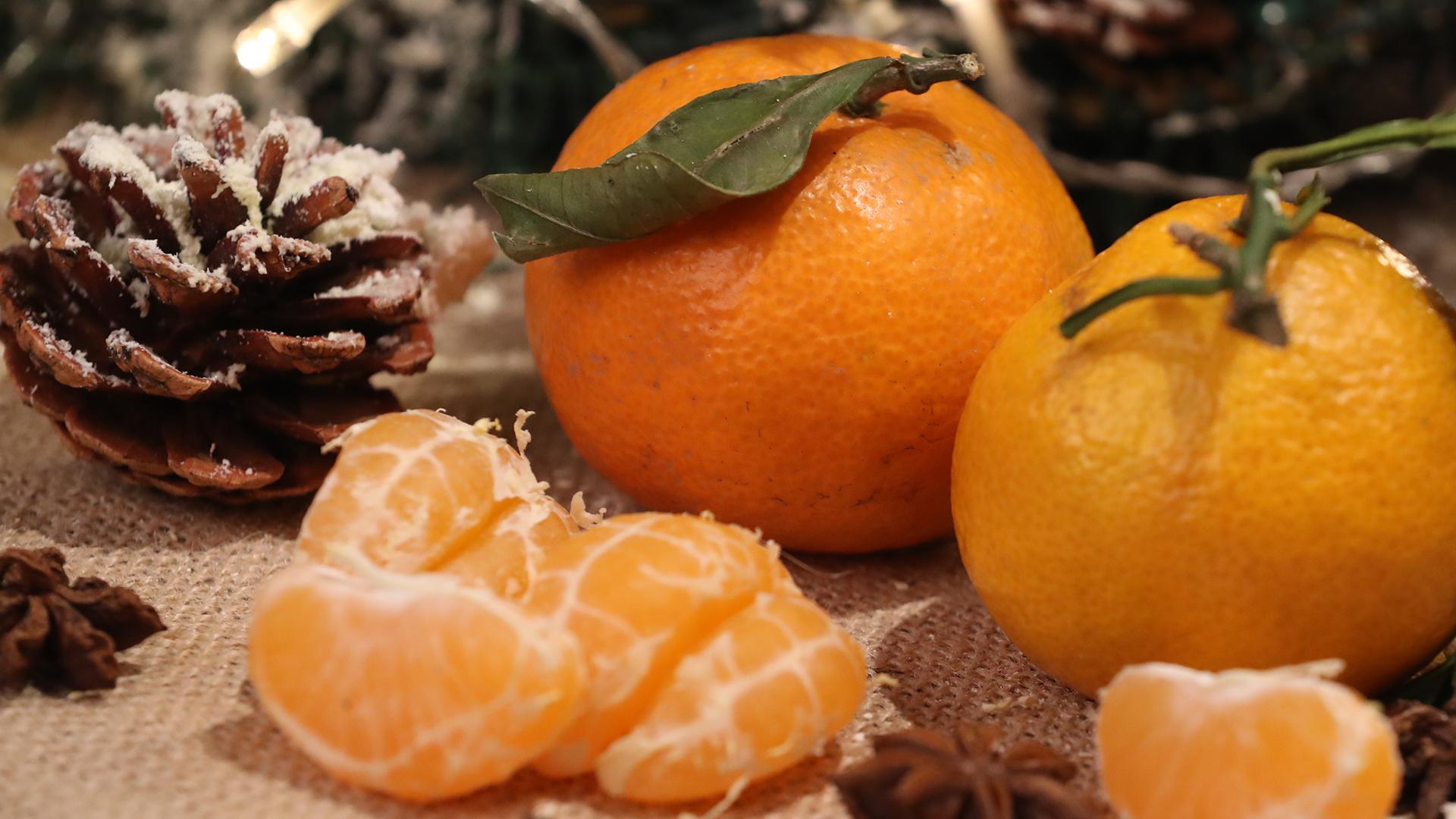 Фото: ИЗВЕСТИЯ/Андрей Эрштрем