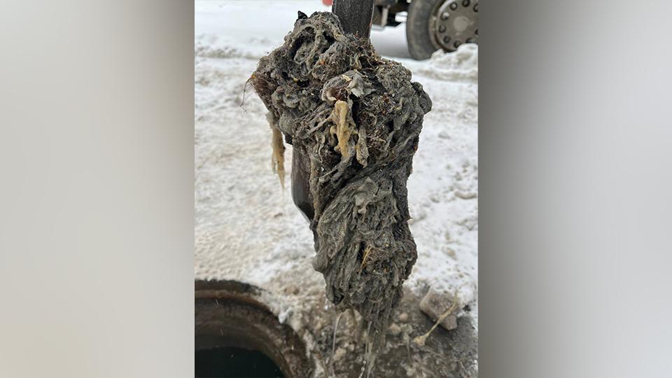 Фото: t.me/VDKSPB