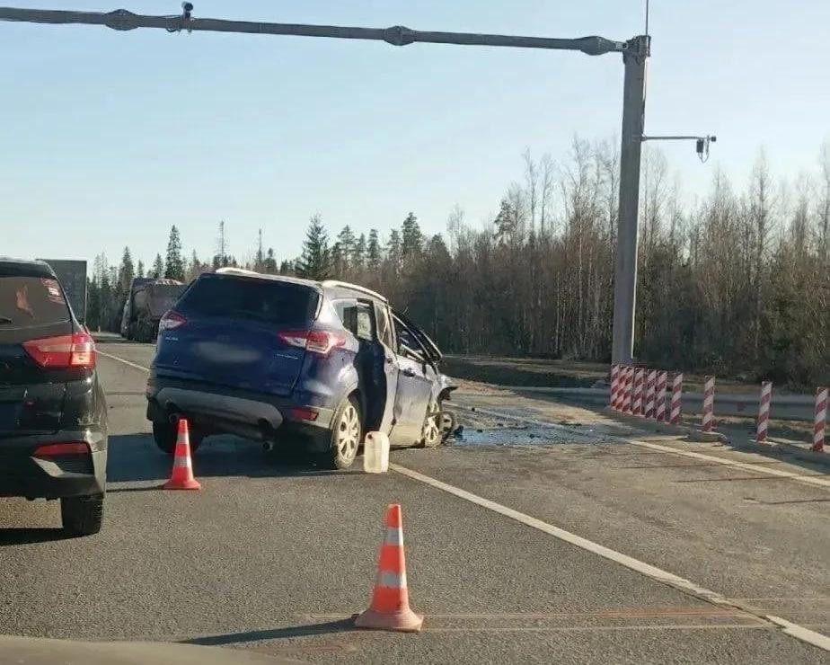 Фото: МЧС Ленинградской области