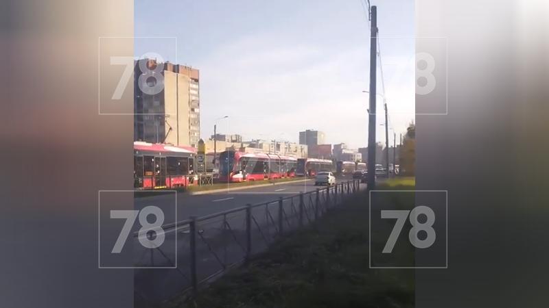 Фото: 78.ru