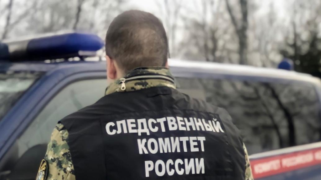 Фото: ГСУ СК РФ
