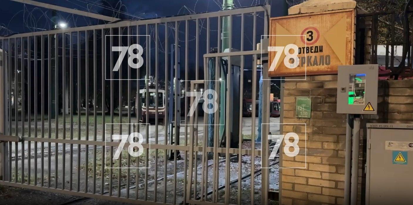 Фото: 78.ru