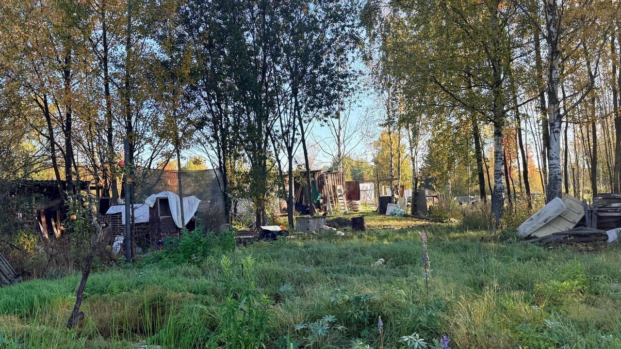 Фото: пресс-служба ККИ