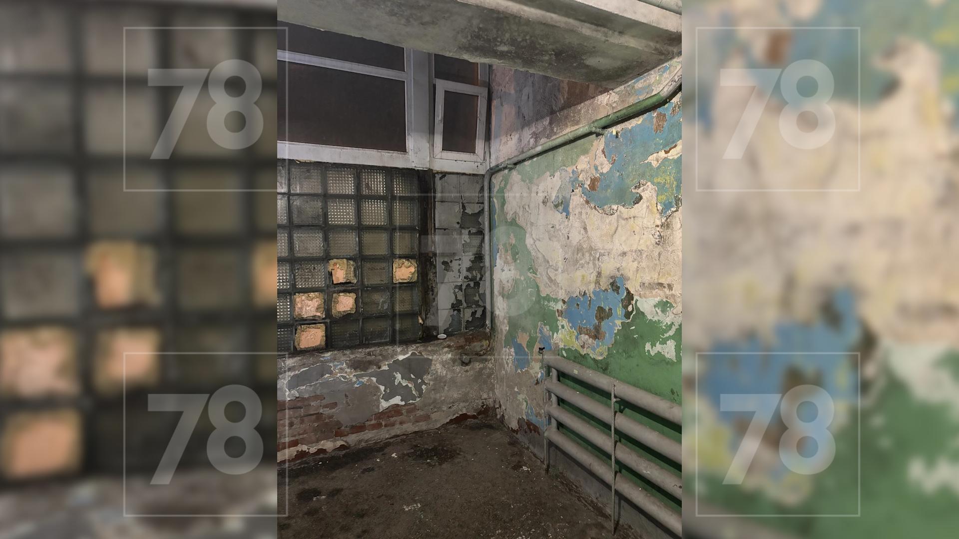 Фото: 78.ru