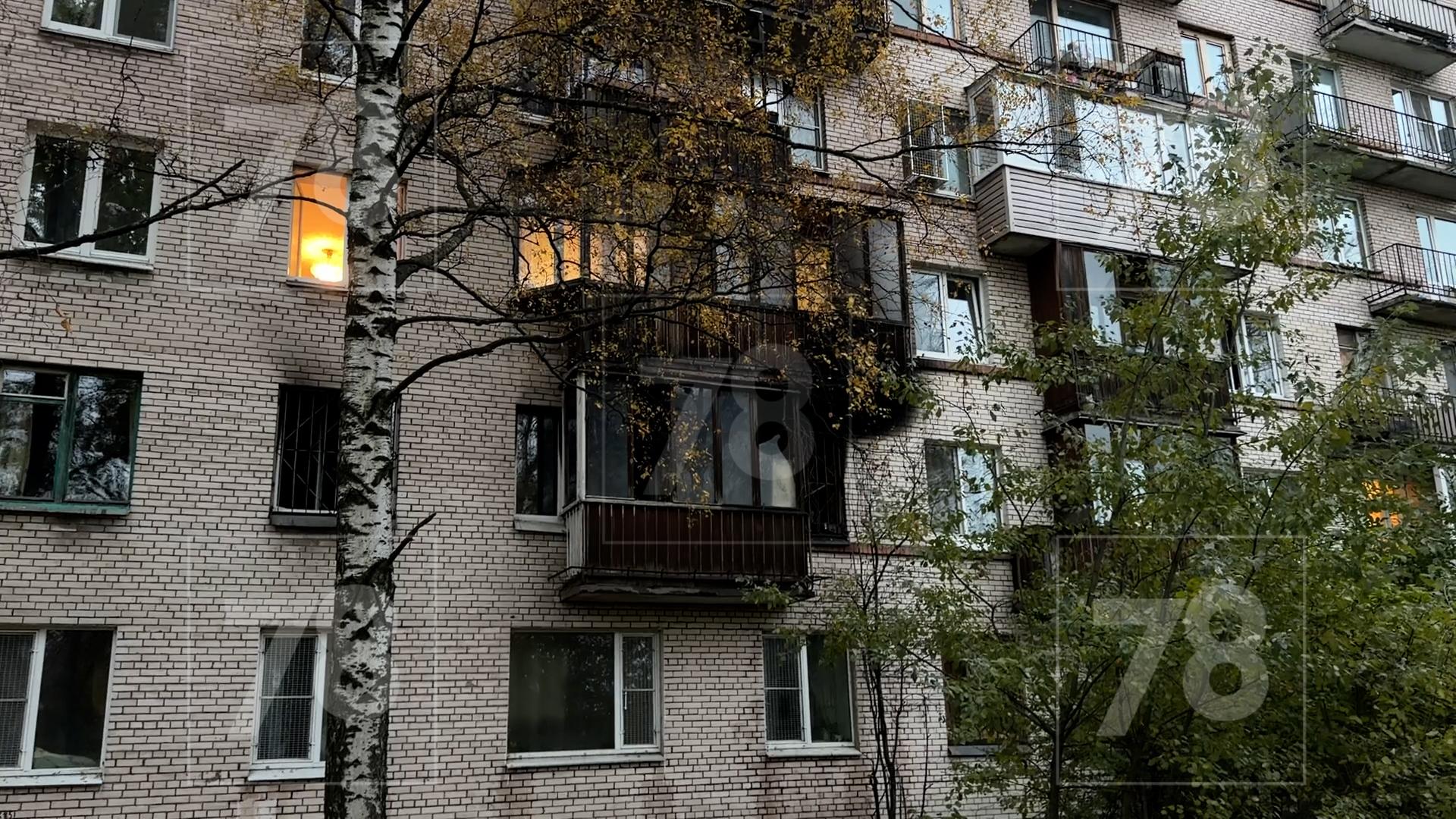 Фото: 78.ru