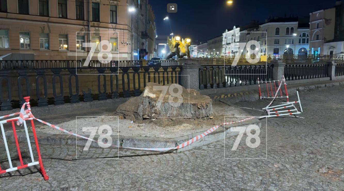 Фото: 78.ru