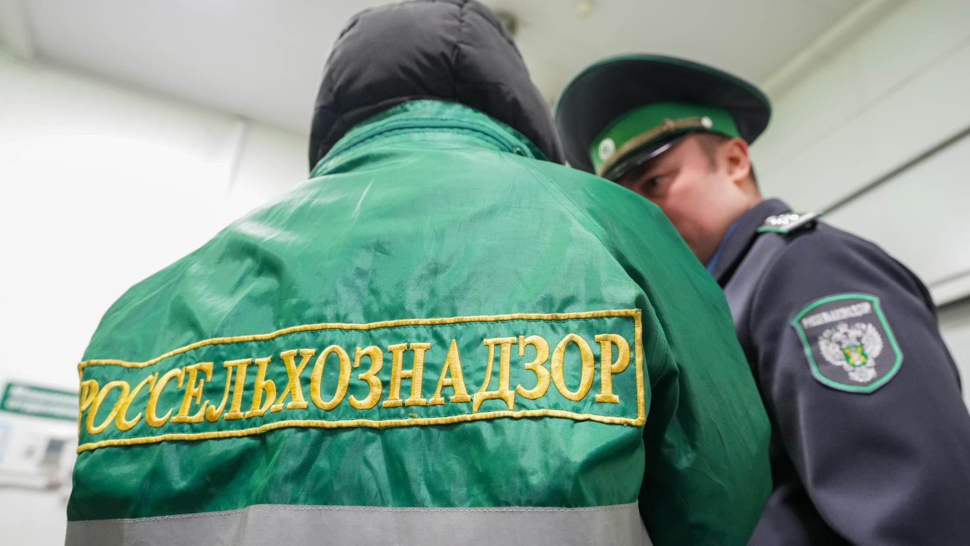 Фото: ИЗВЕСТИЯ/Эдуард Корниенко