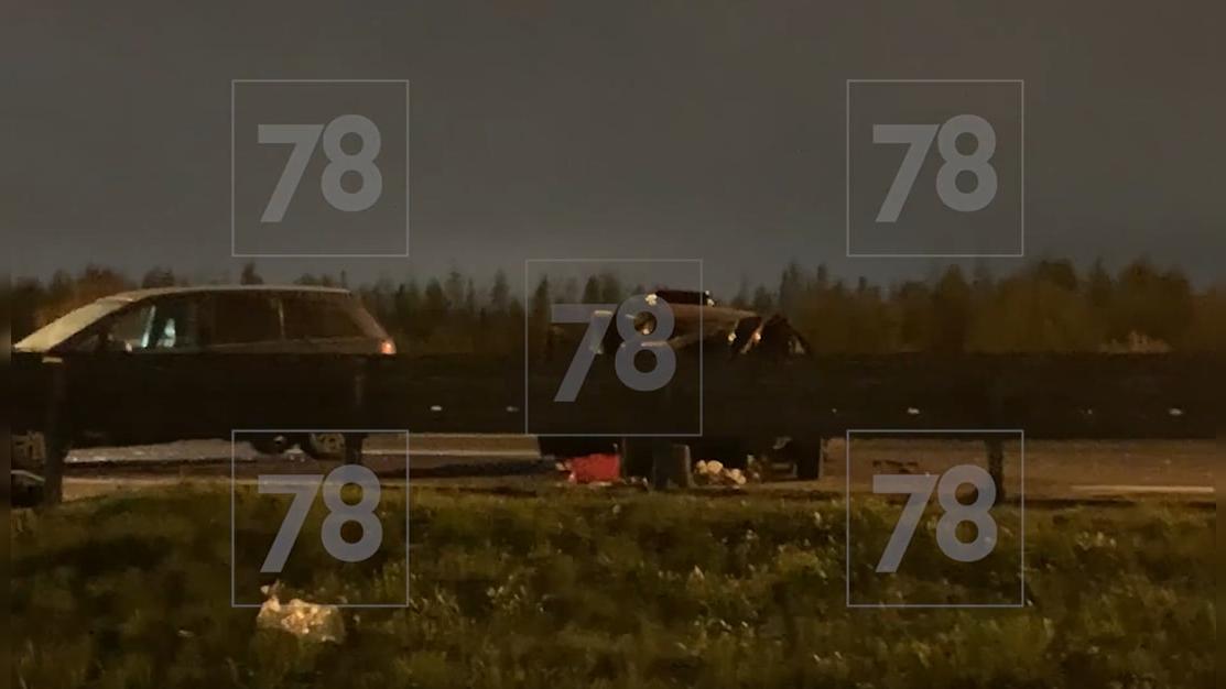 Фото: 78.ru