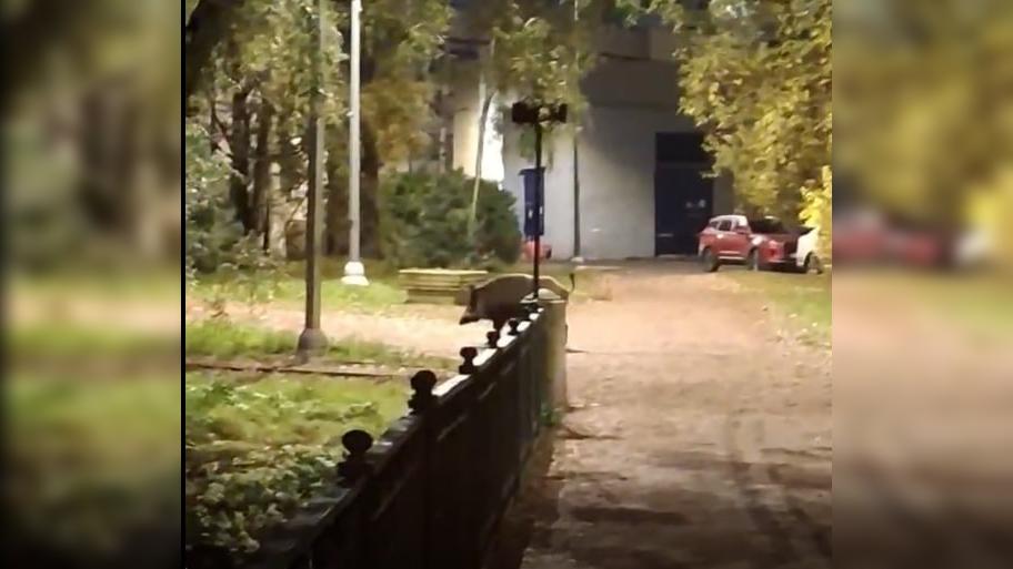 Фото: соцсети