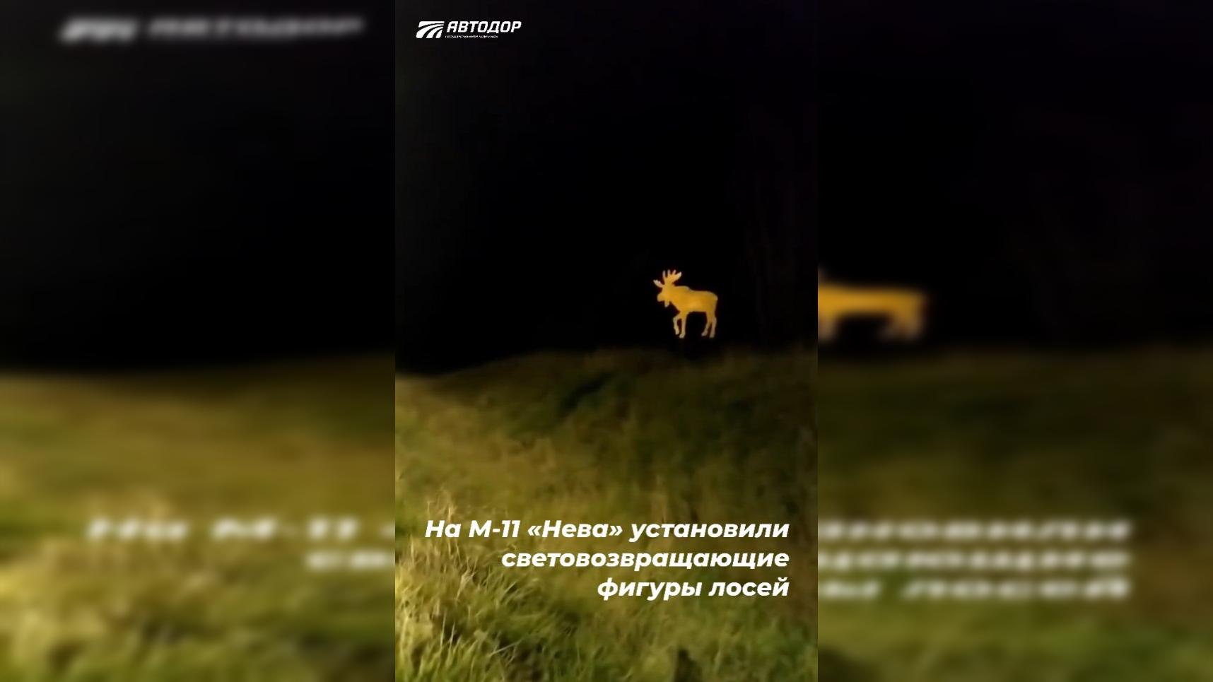 Фото: Автодор