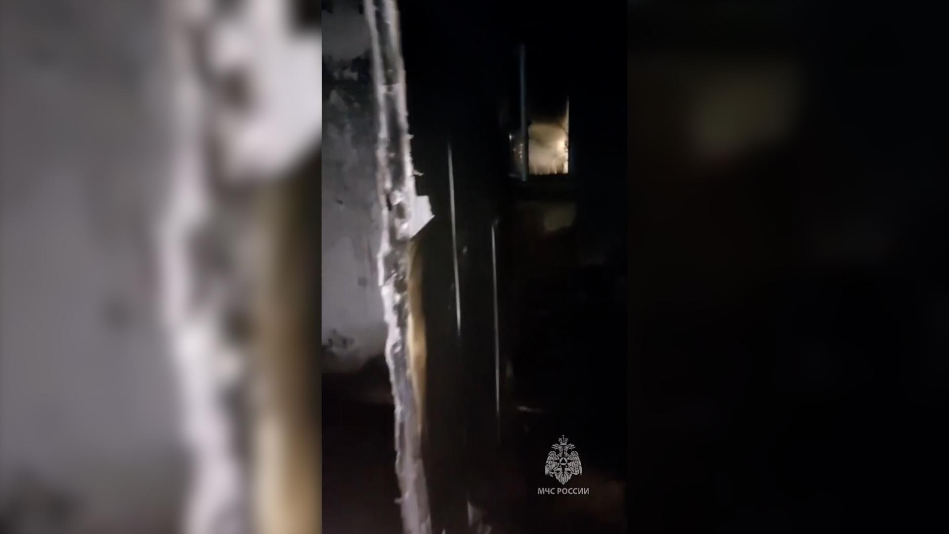 Фото: ГУ МЧС Ленинградской области