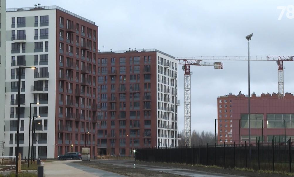 Фото: 78.ru