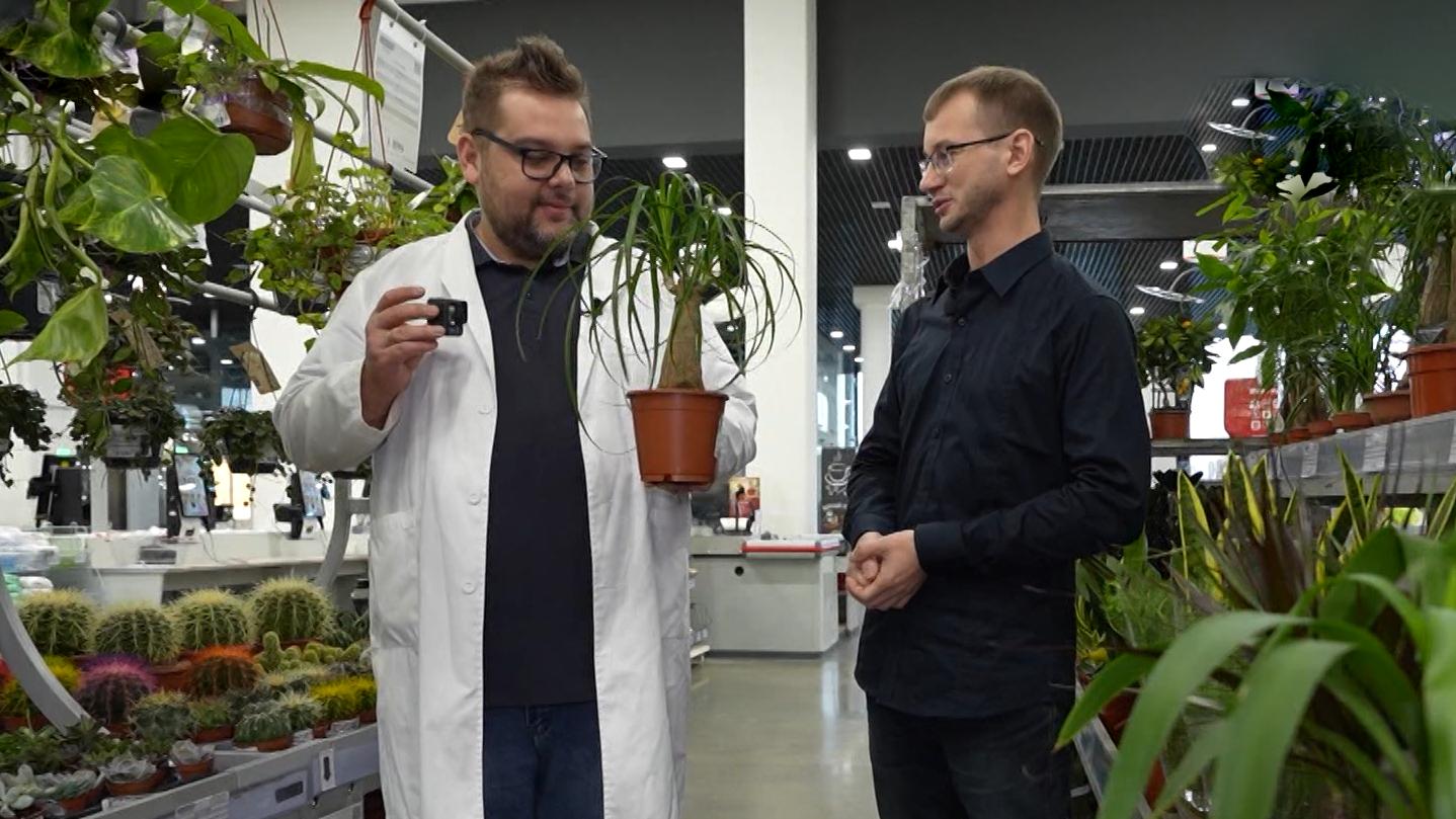 Дом советов (11 февраля 2026)