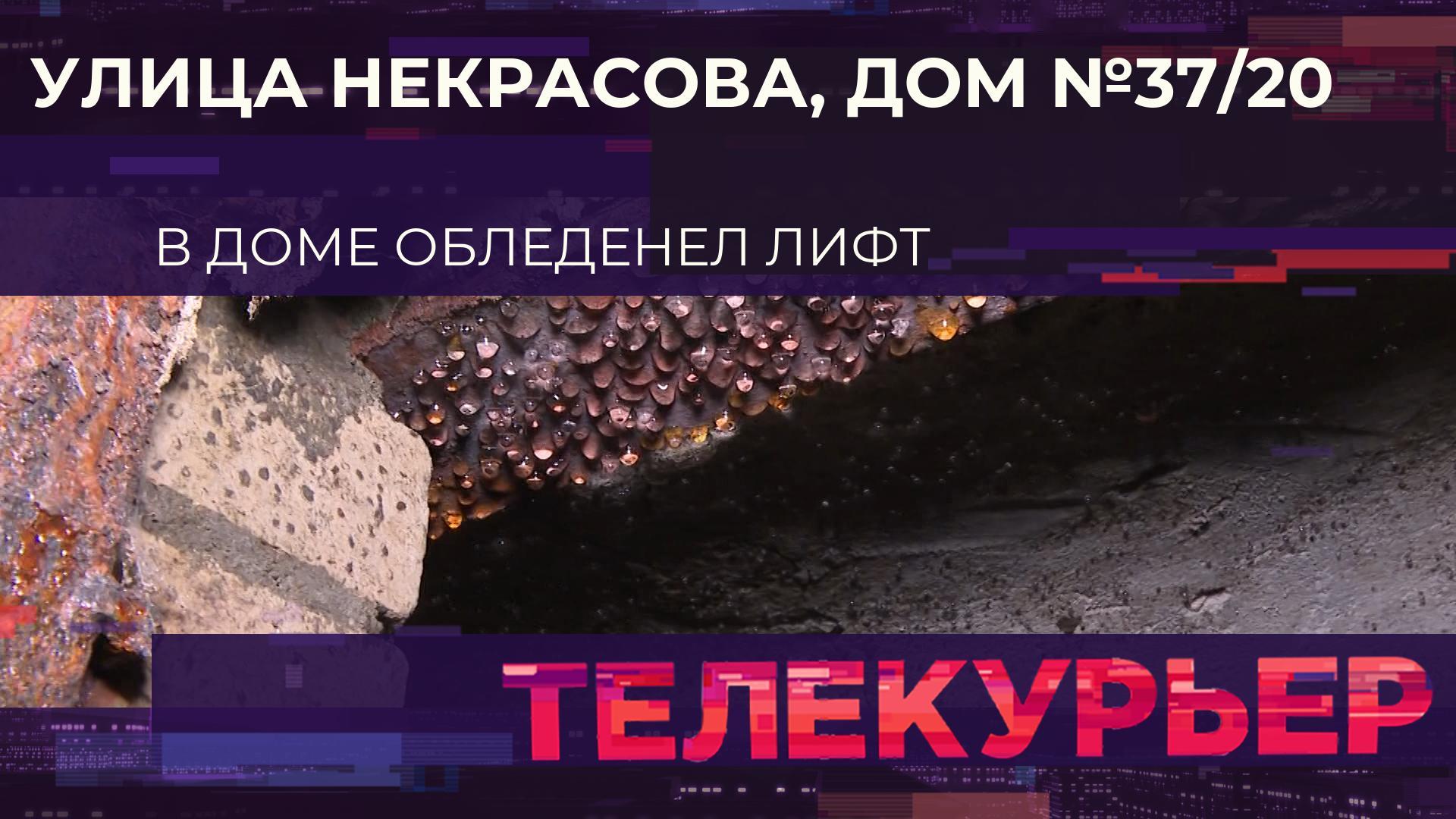 Телекурьер (13 февраля 2026)