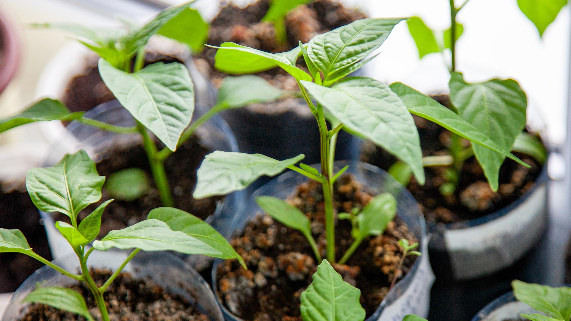 Фото: Oksana Korol/globallookpress.com