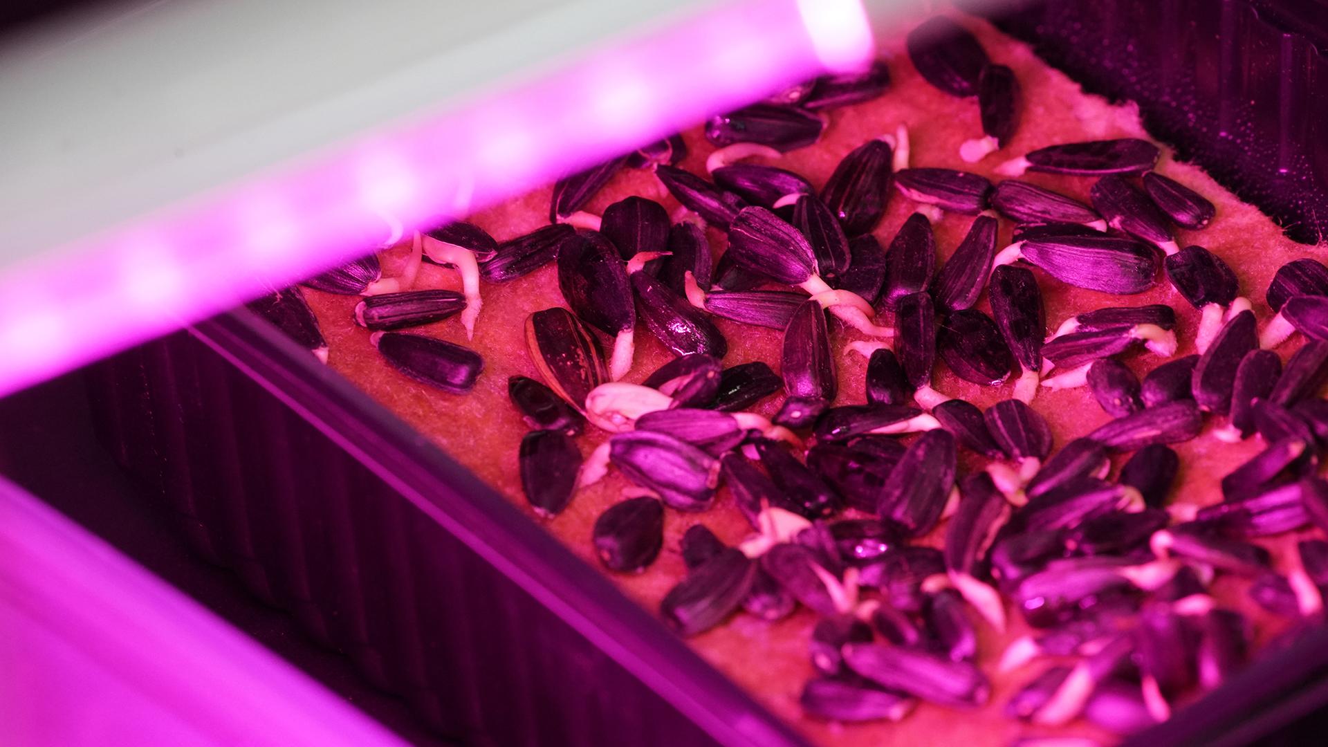 Фото: ИЗВЕСТИЯ/Сергей Лантюхов