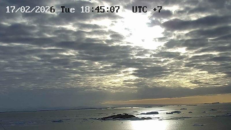 Фото: скриншот с веб-камеры на станции «Мирный»