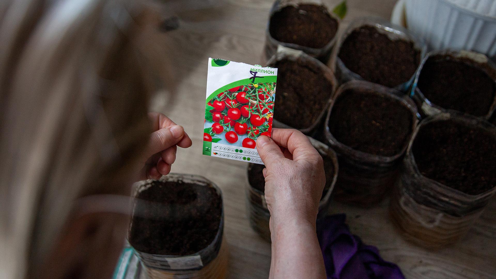 Фото: Oksana Korol/globallookpress.com