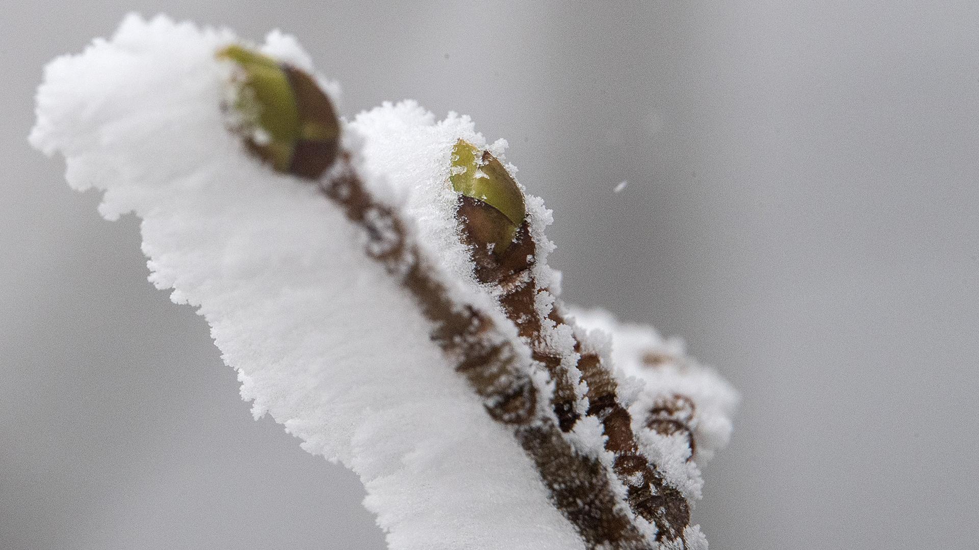 Фото: Sebastian Gollnow/globallookpress.com