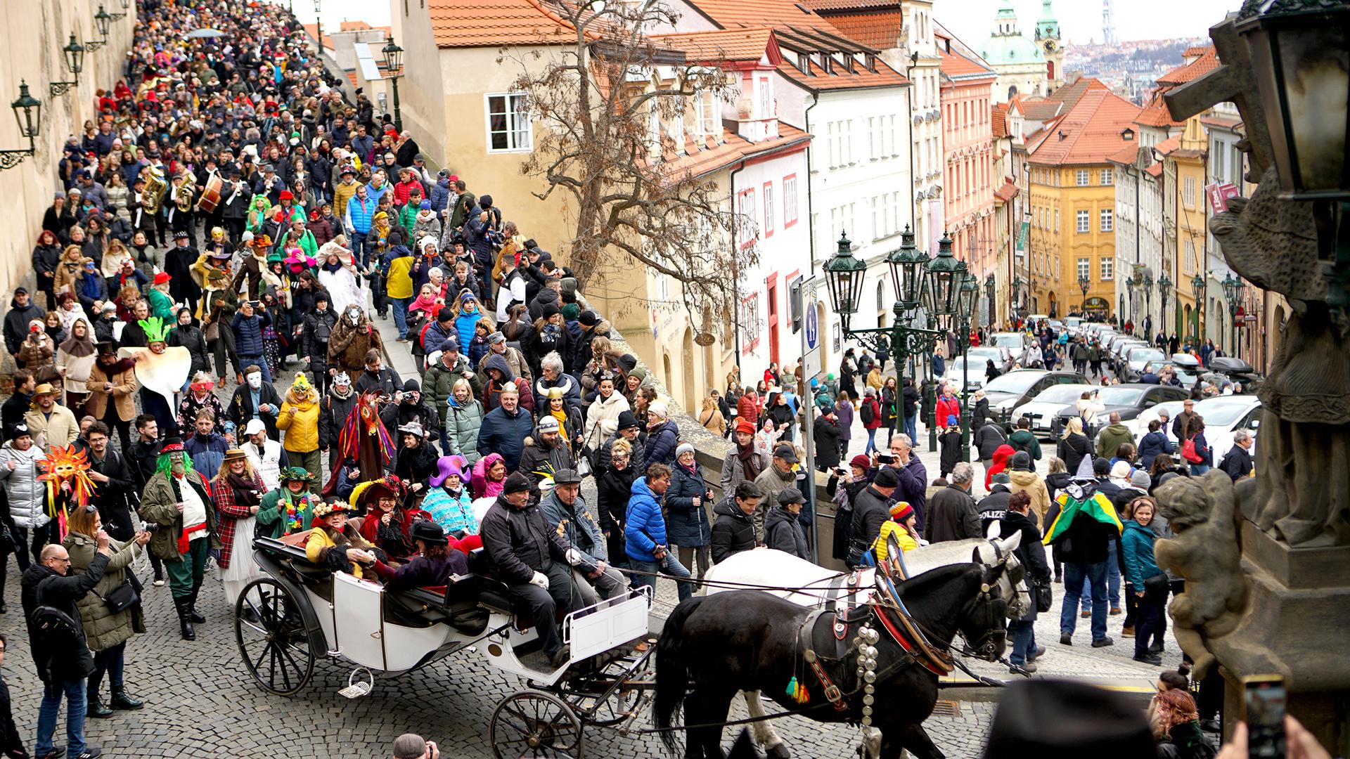 Фото: Dana Kesnerova/globallookpress.com