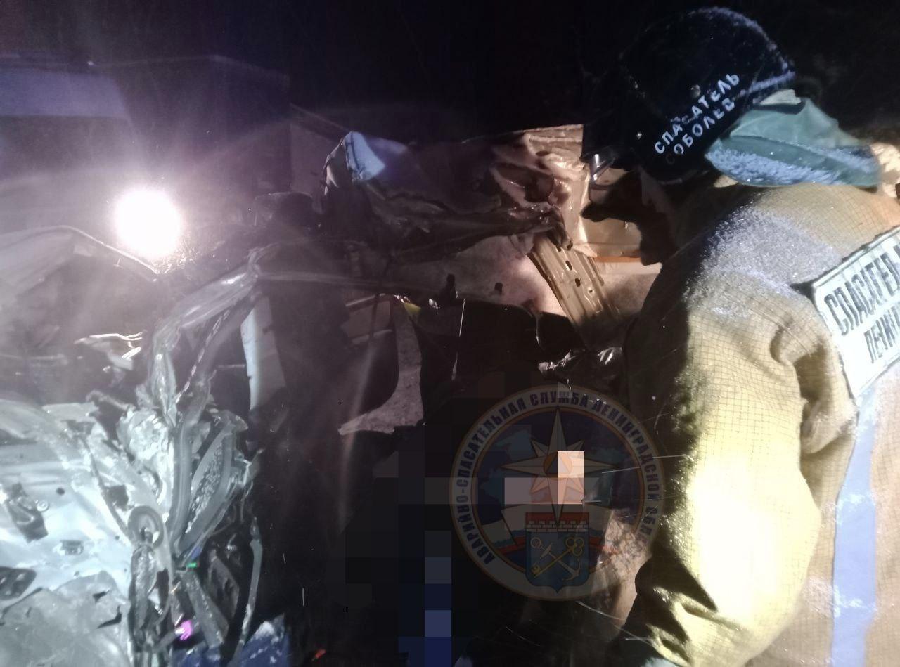 Фото: t.me/acclenobl