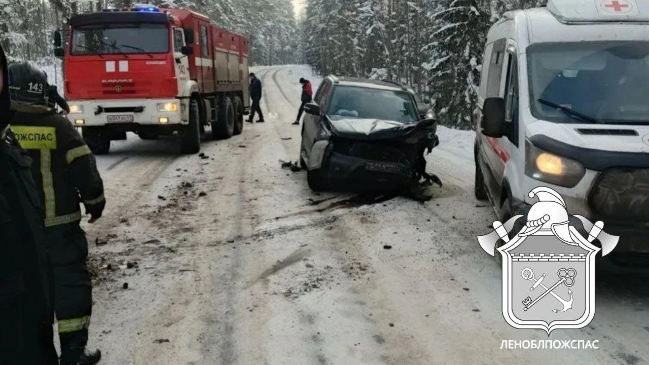 Фото: t.me/lenoblpozhspas