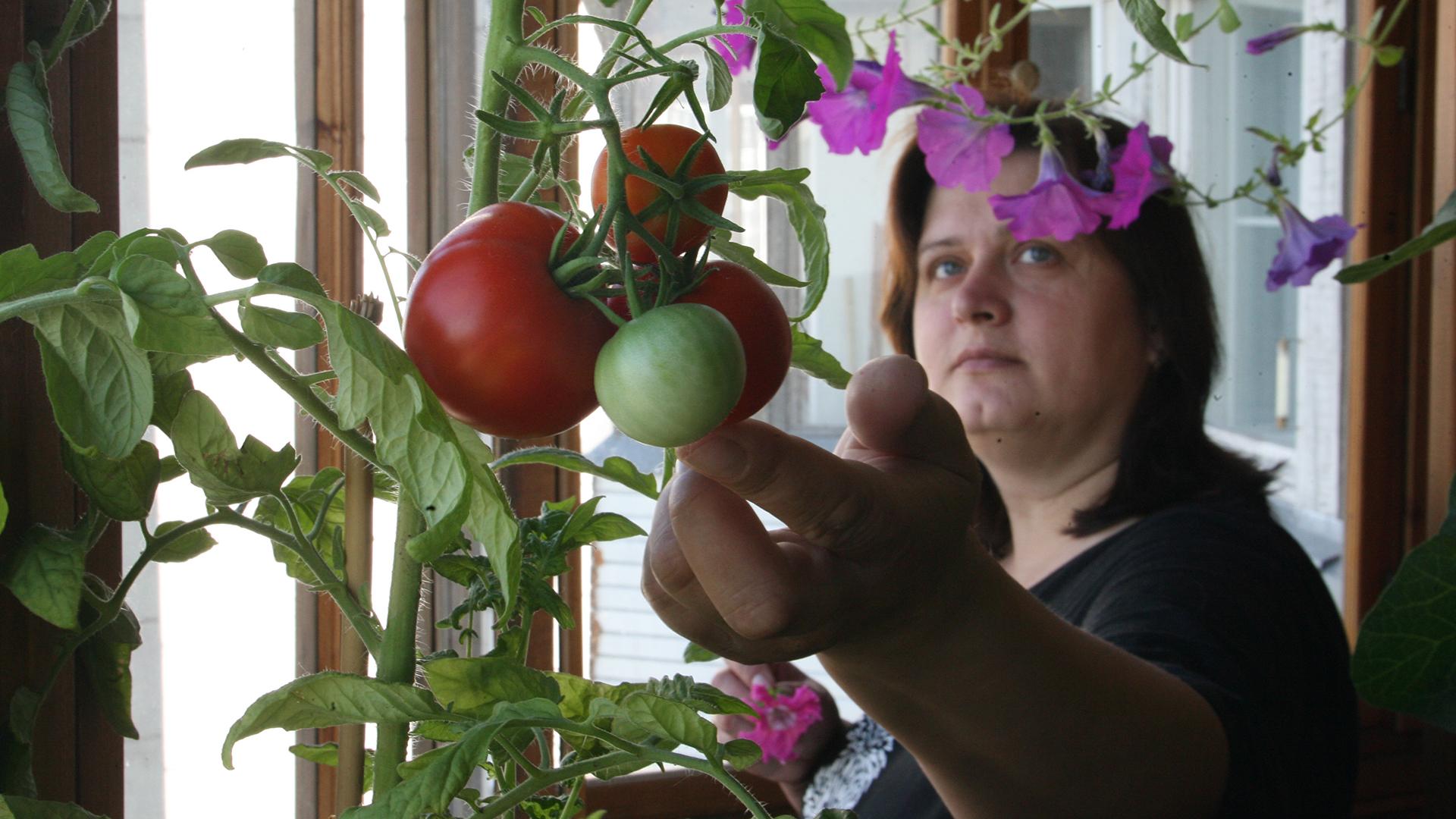 Фото: ИЗВЕСТИЯ/Анатолий Жданов