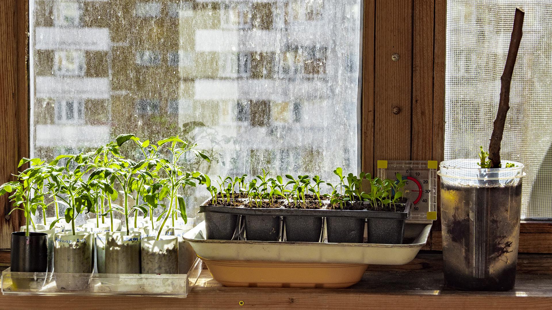 Фото: ИЗВЕСТИЯ/Константин Кокошкин