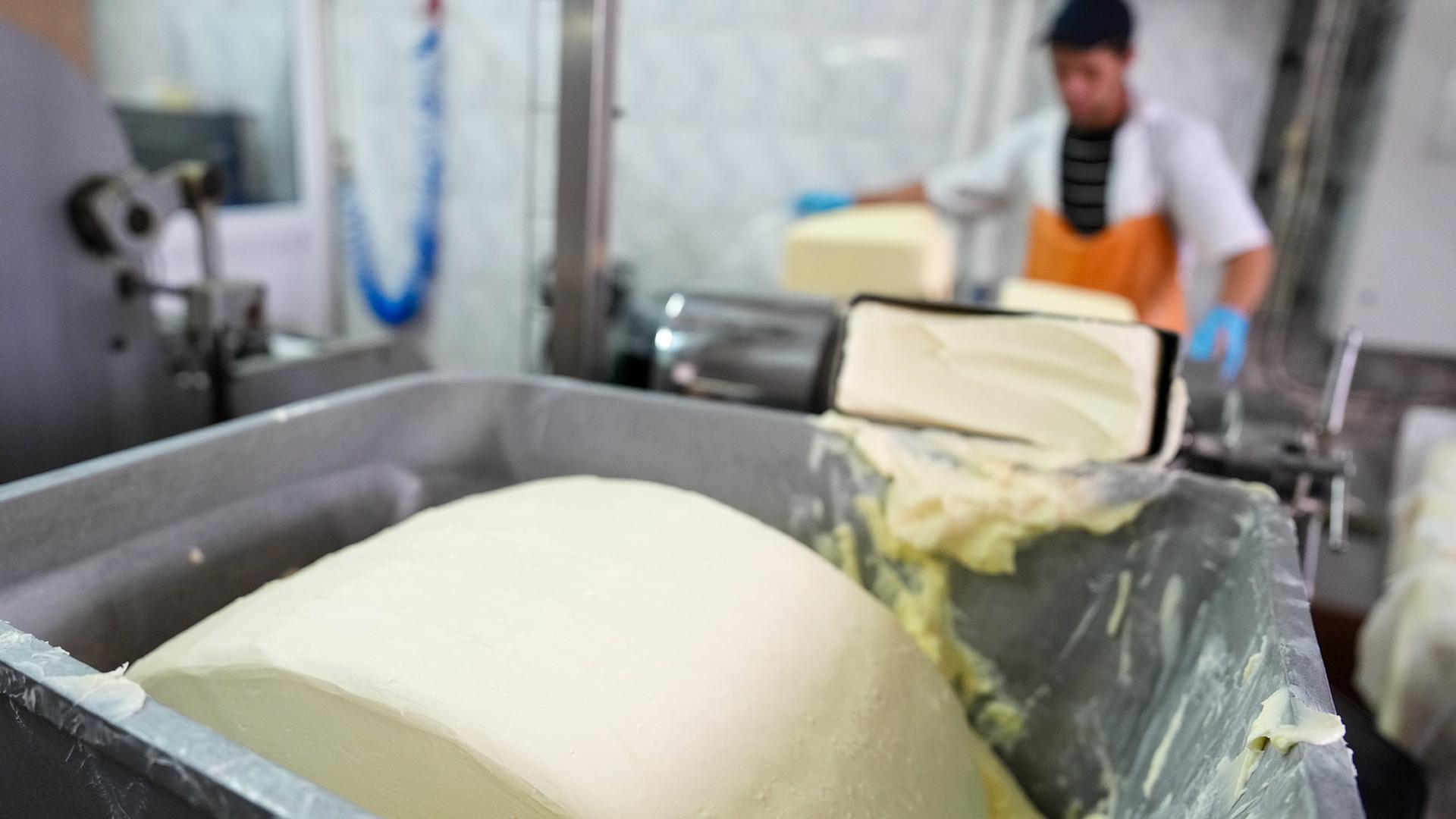 Фото: ИЗВЕСТИЯ/Эдуард Корниенко