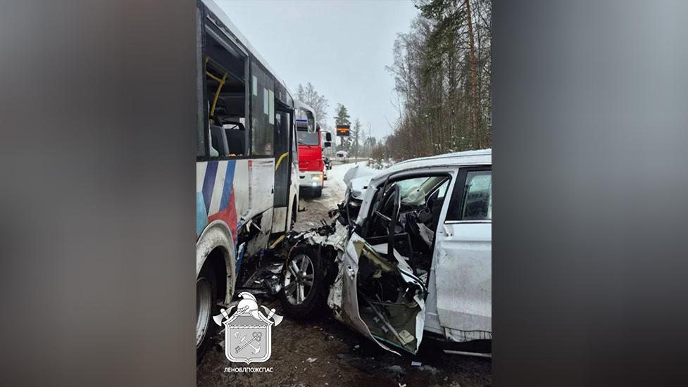 Фото: t.me/lenoblpozhspas