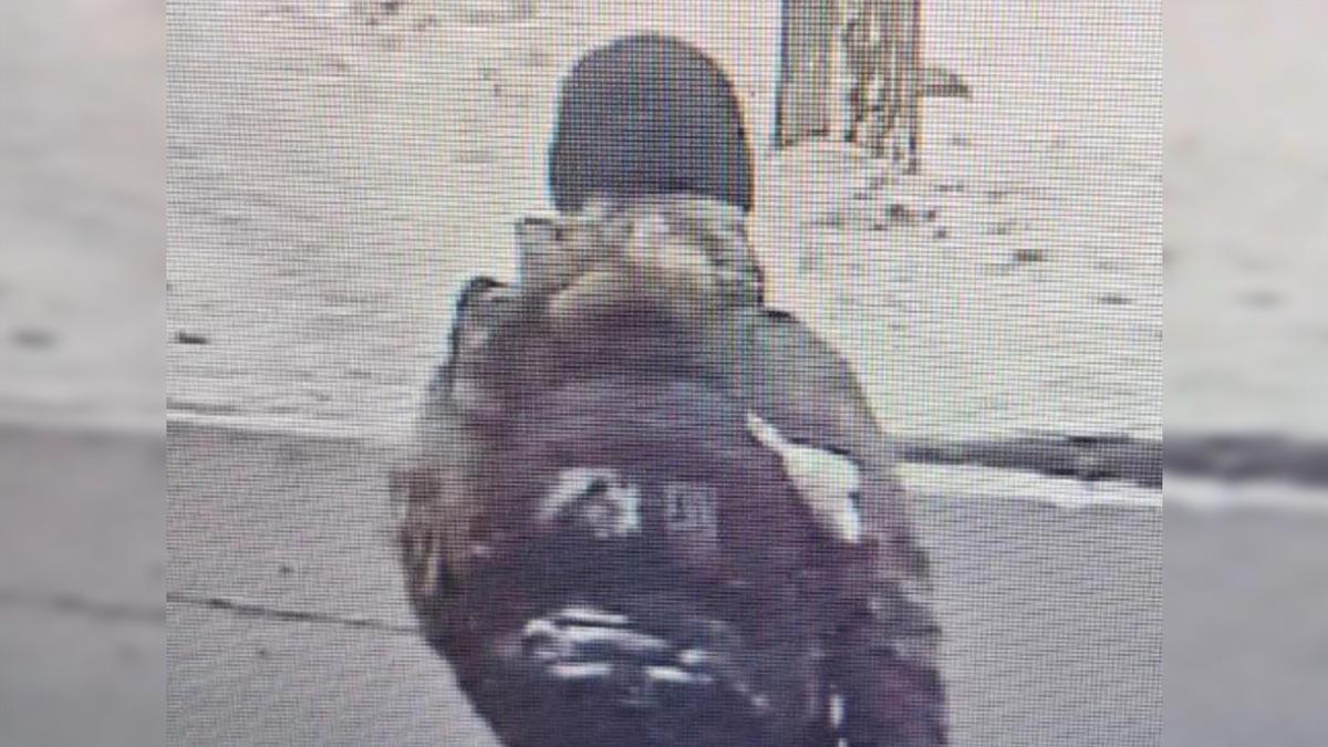 Фото: ГУ МВД России по Санкт-Петербургу и Ленобласти