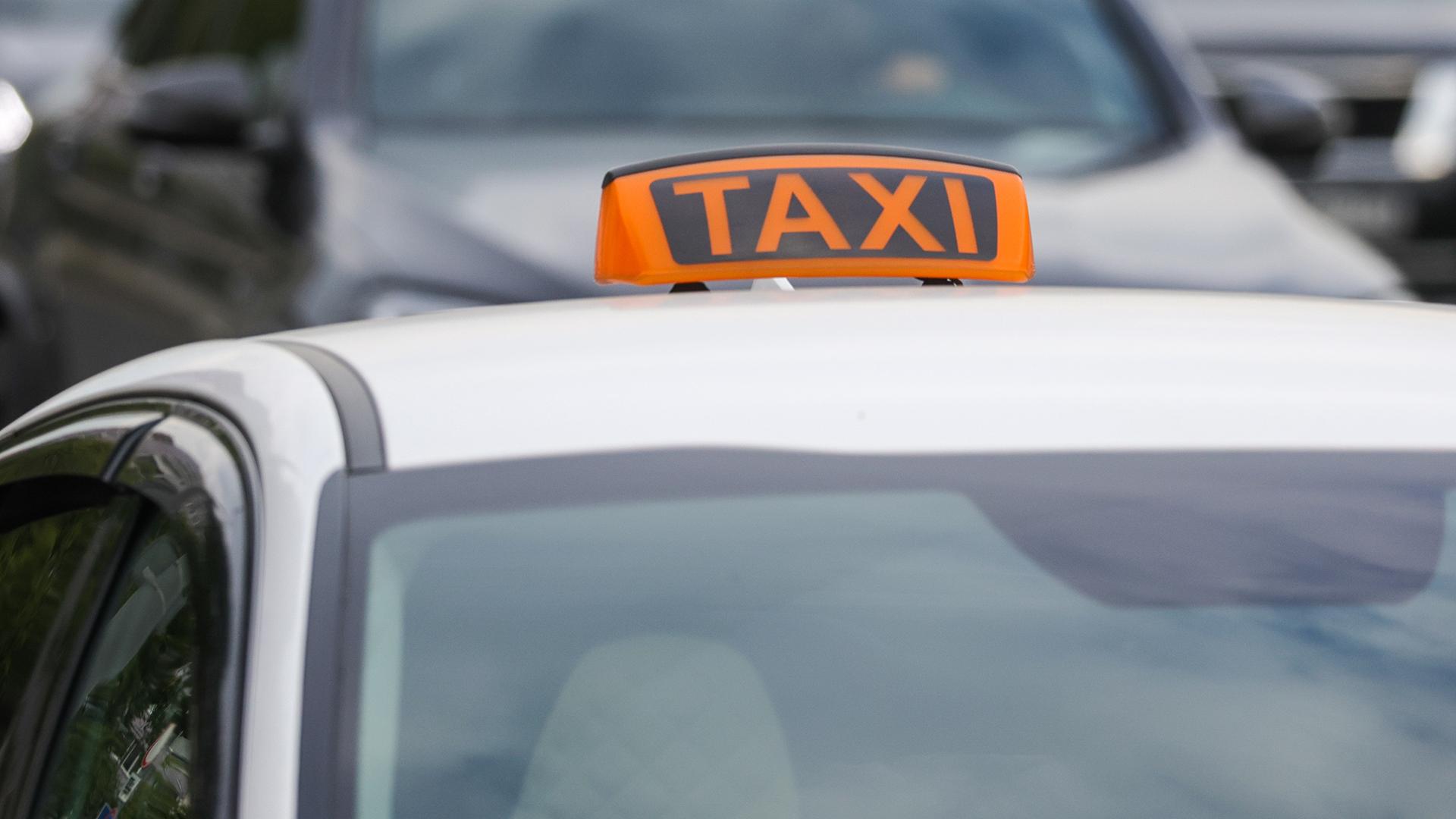 Фото: Shatokhina Natalia/globallookpress.com