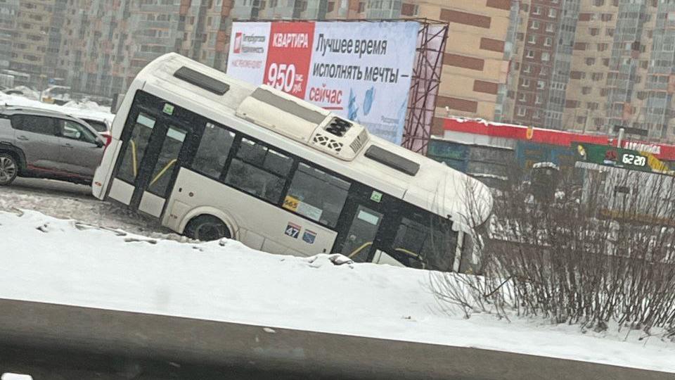 Фото: соцсети