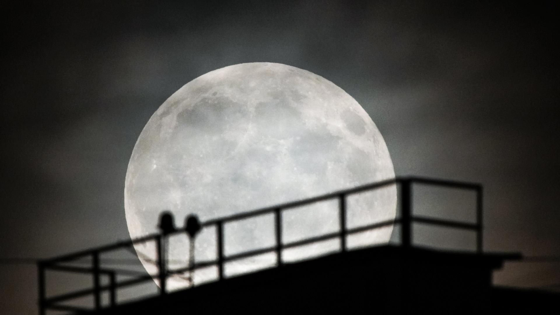 Фото: ИЗВЕСТИЯ/Сергей Лантюхов