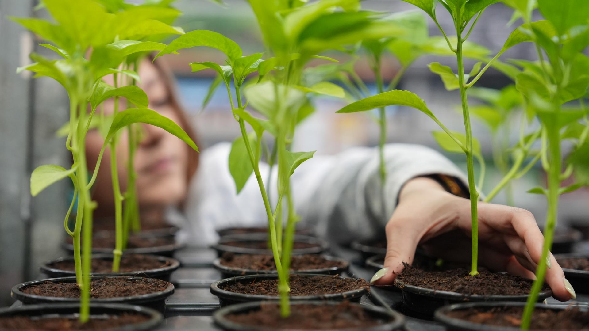 Фото: ИЗВЕСТИЯ/Эдуард Корниенко