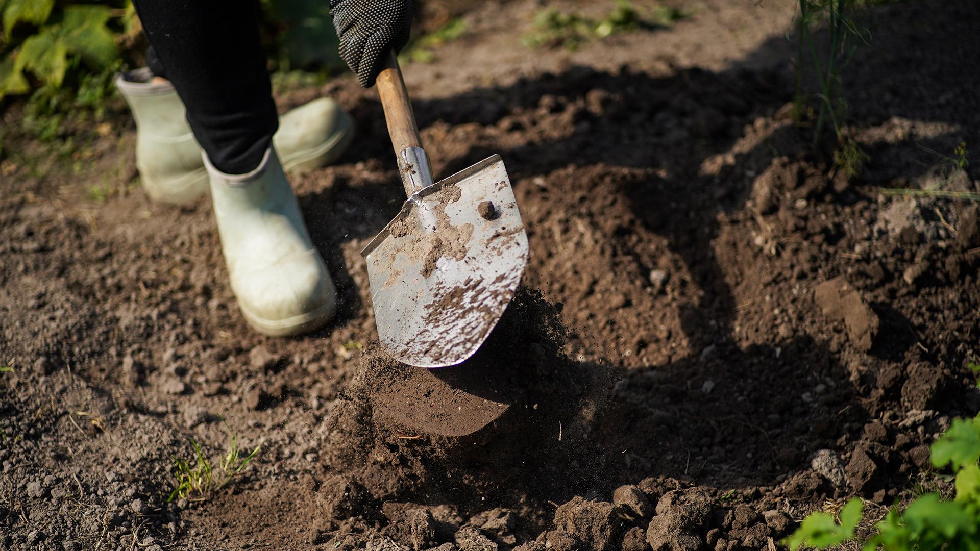 Фото: ИЗВЕСТИЯ/Сергей Лантюхов