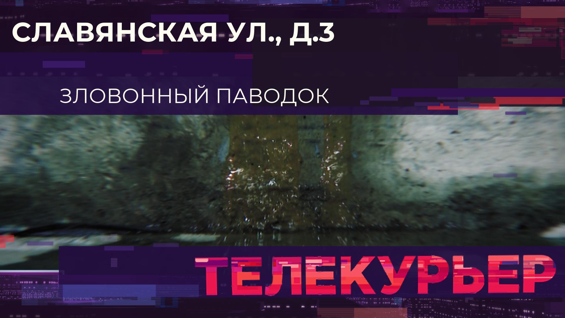 Телекурьер (11 марта 2026)
