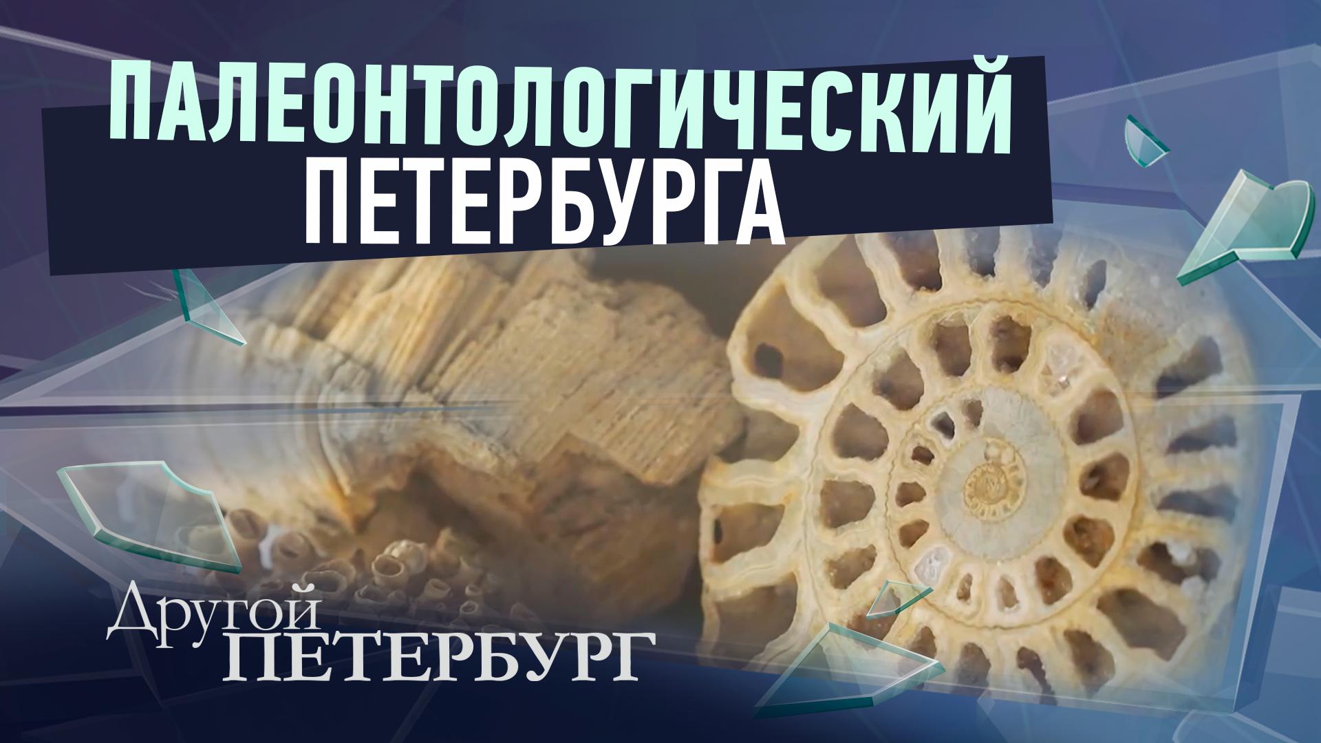 Другой Петербург д/ф (8 марта 2026)