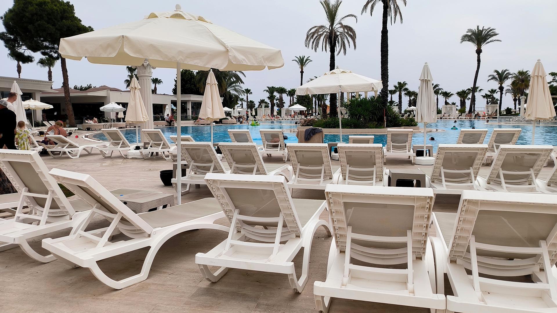 Фото: Maksim Konstantinov/globallookpress.com