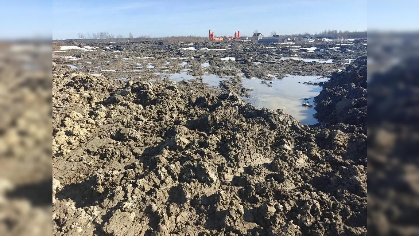 Фото:  Эконадзор Ленобласти