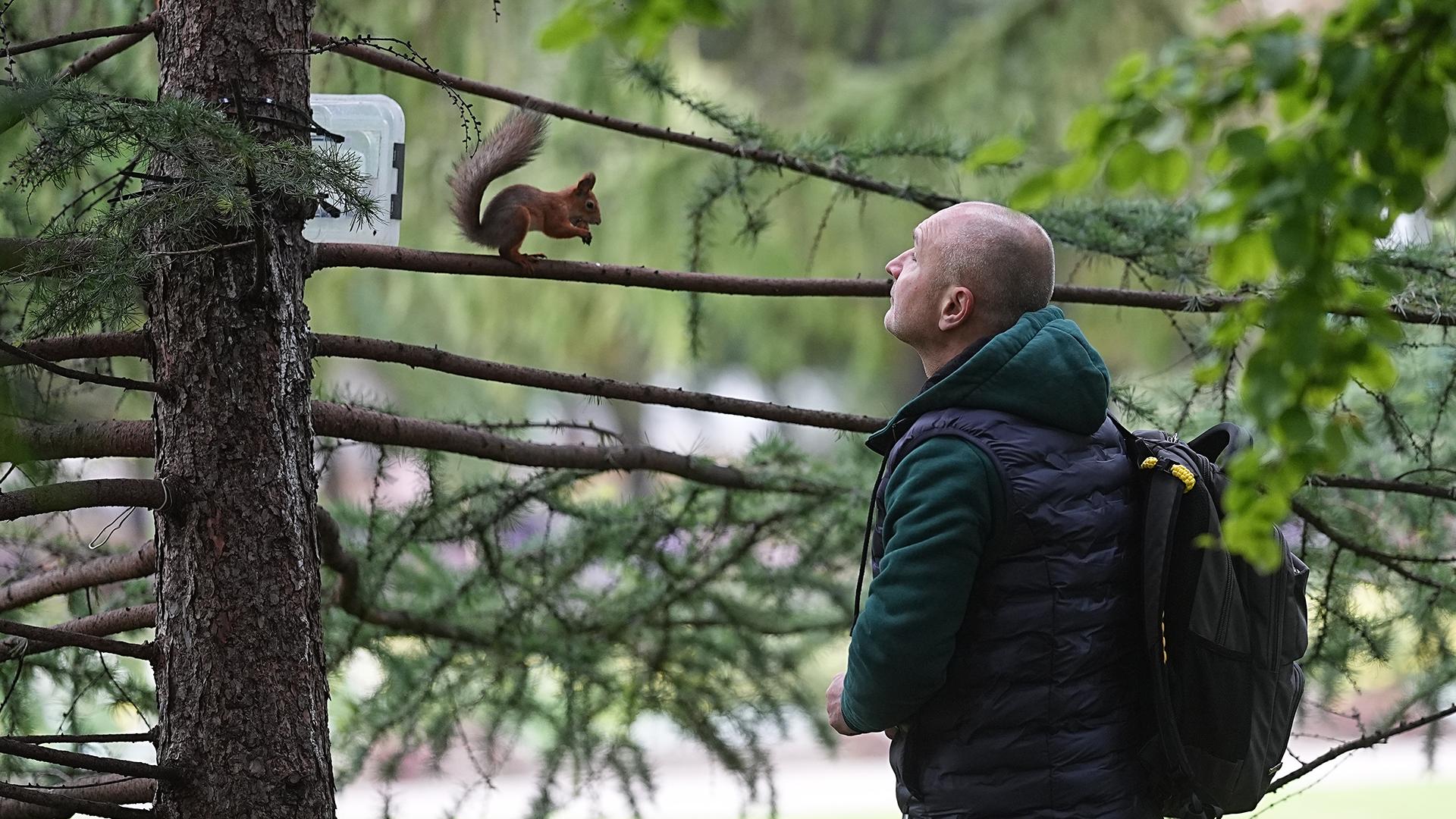 Фото: ИЗВЕСТИЯ/Павел Волков