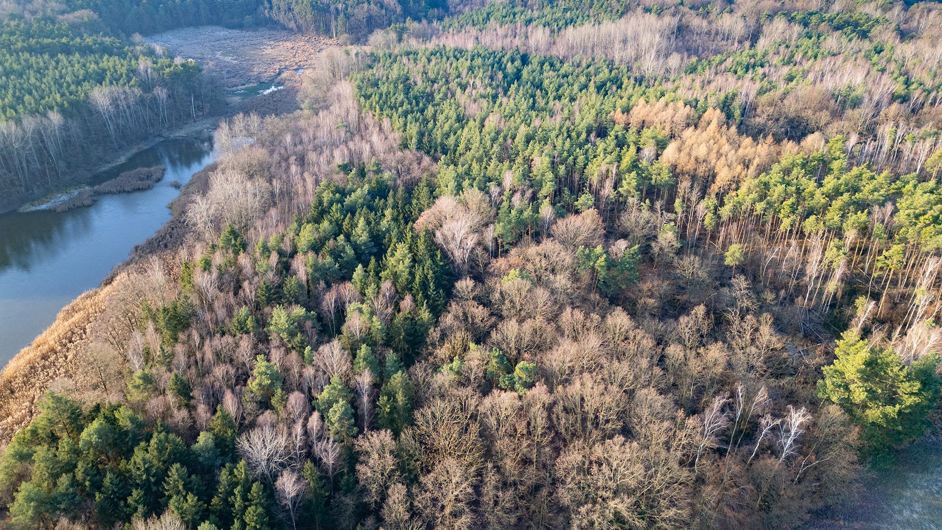 Фото: Robert Michael/globallookpress.com