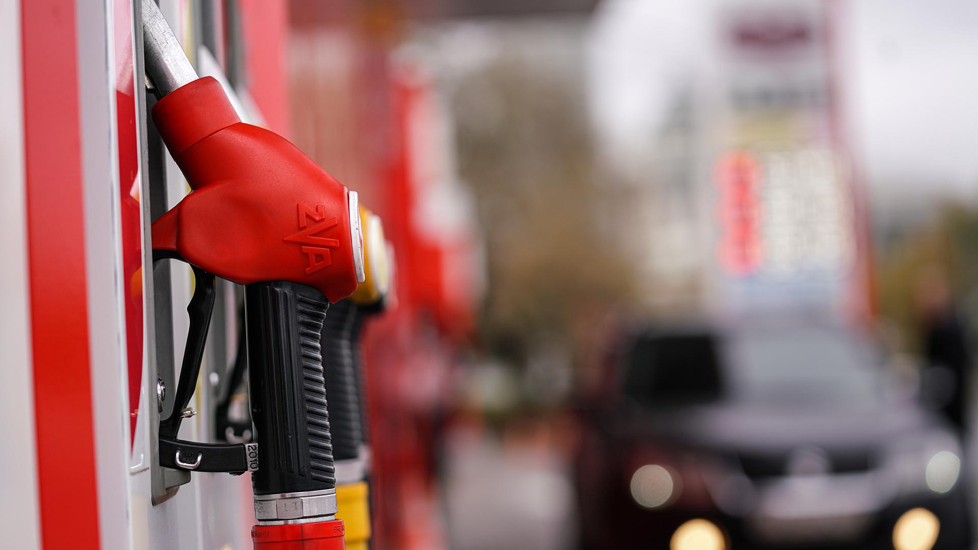 Фото: ИЗВЕСТИЯ/Анна Селина