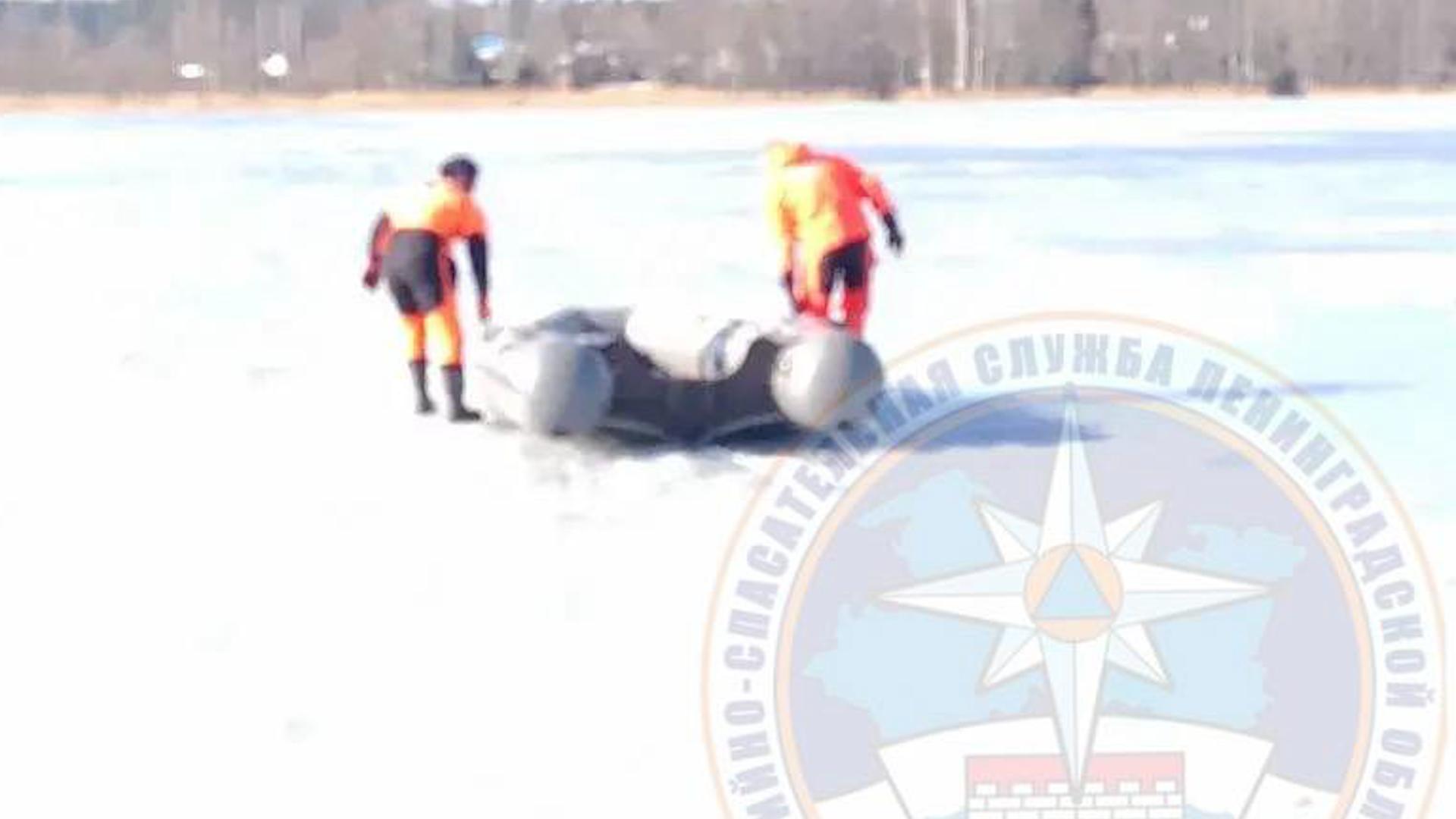 Фото: t.me/acclenobl