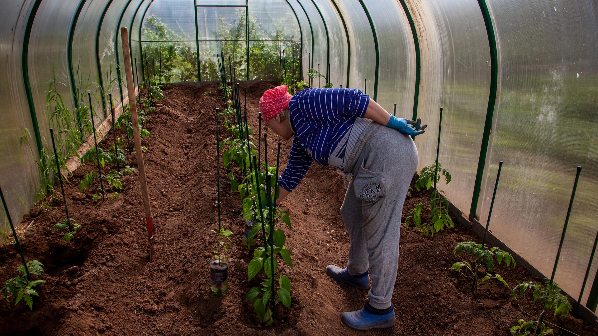 Фото: Oksana Korol/Business Online